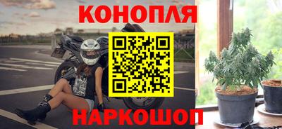 jwh Бердск