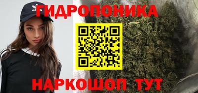 jwh Бердск