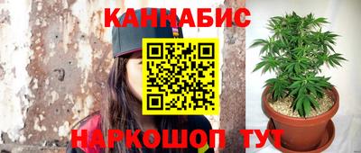 jwh Бердск