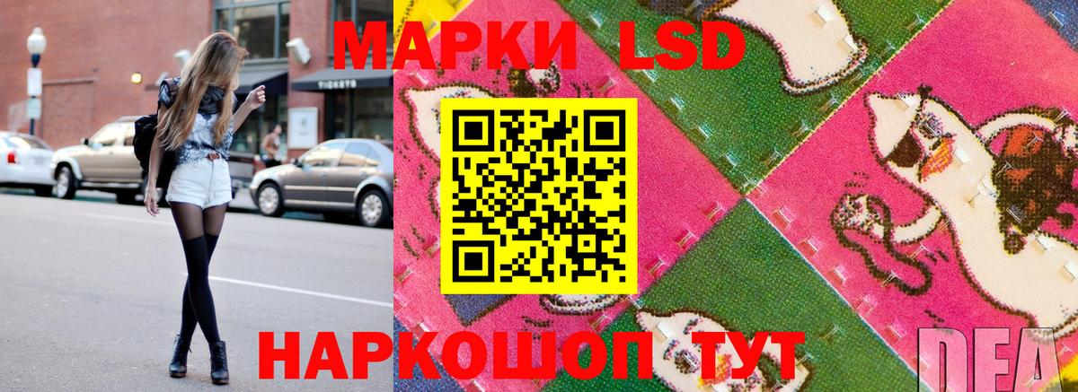 Наркотические марки  Марки N-bome 1500мкг  Бердск  Вход с VPN  Марки N-bome 1500мкг 
