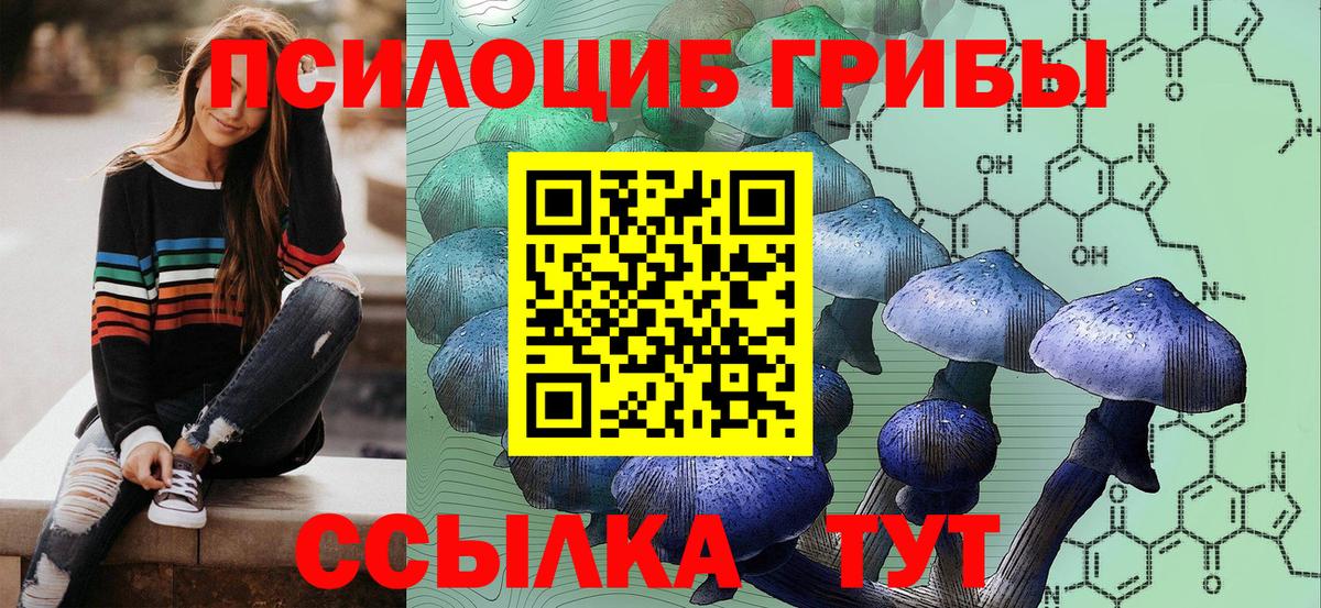 Псилоцибиновые грибы Psilocybine cubensis Бердск